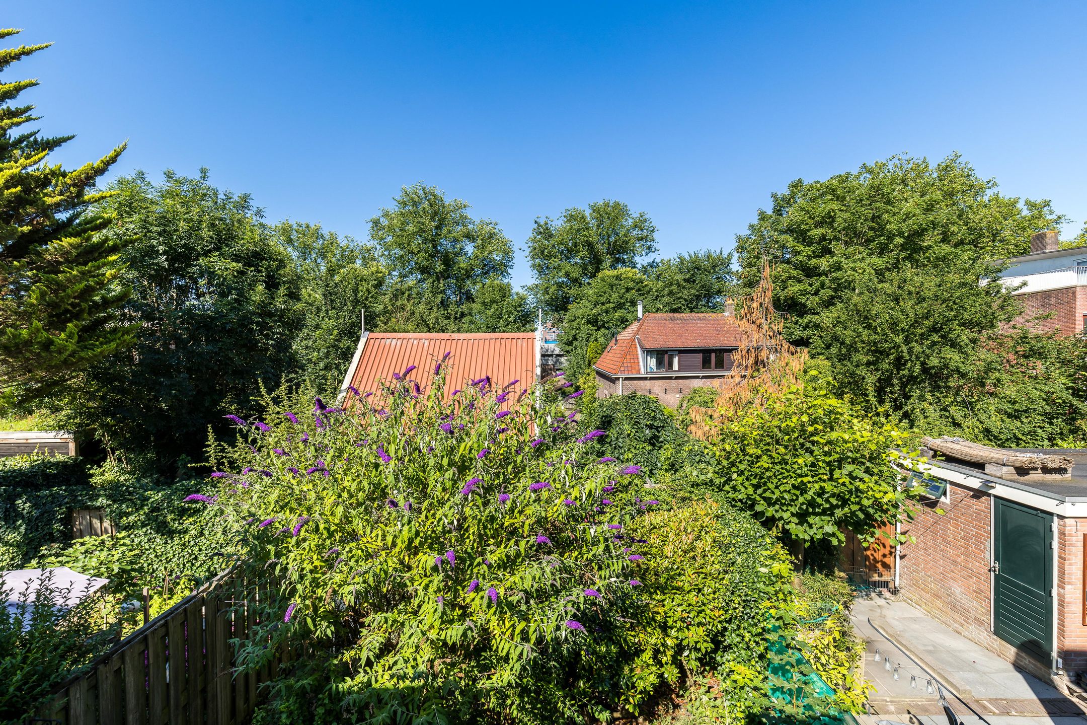 Foto 42 van Meeuwensingel 88