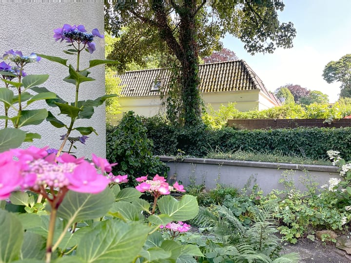 Foto 5 van Lindelaan 37