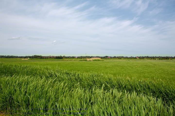 Photo 37 of Noord Midslandweg 55