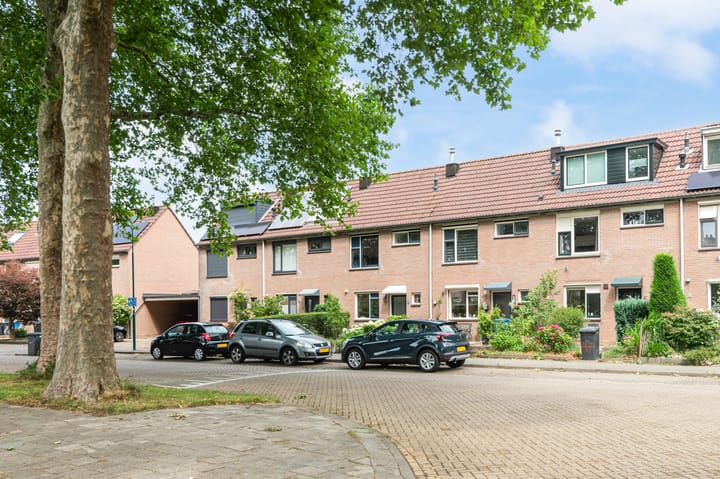 Foto 26 van Sint Nicolaaslaan 43