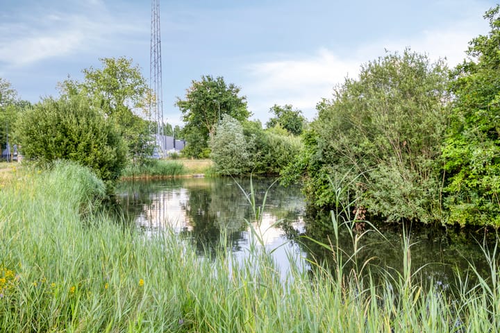 Foto 38 van Heinoord 20