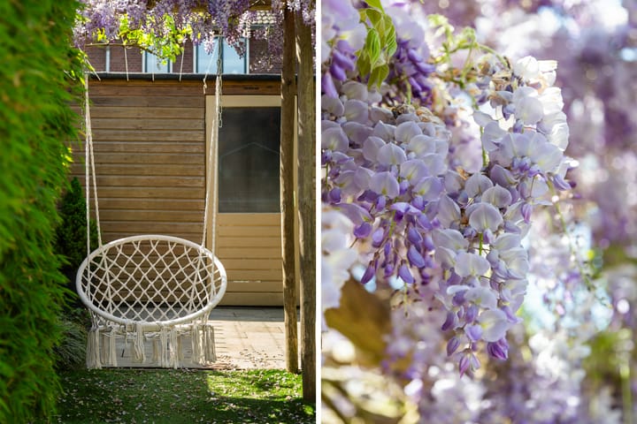 Foto 23 van Bloemenlaan 61