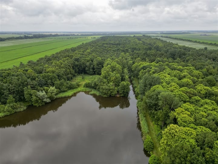 Foto 38 van Rietgors 5