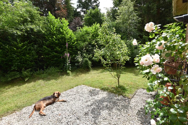 Foto 32 van Koeweg 17-14B