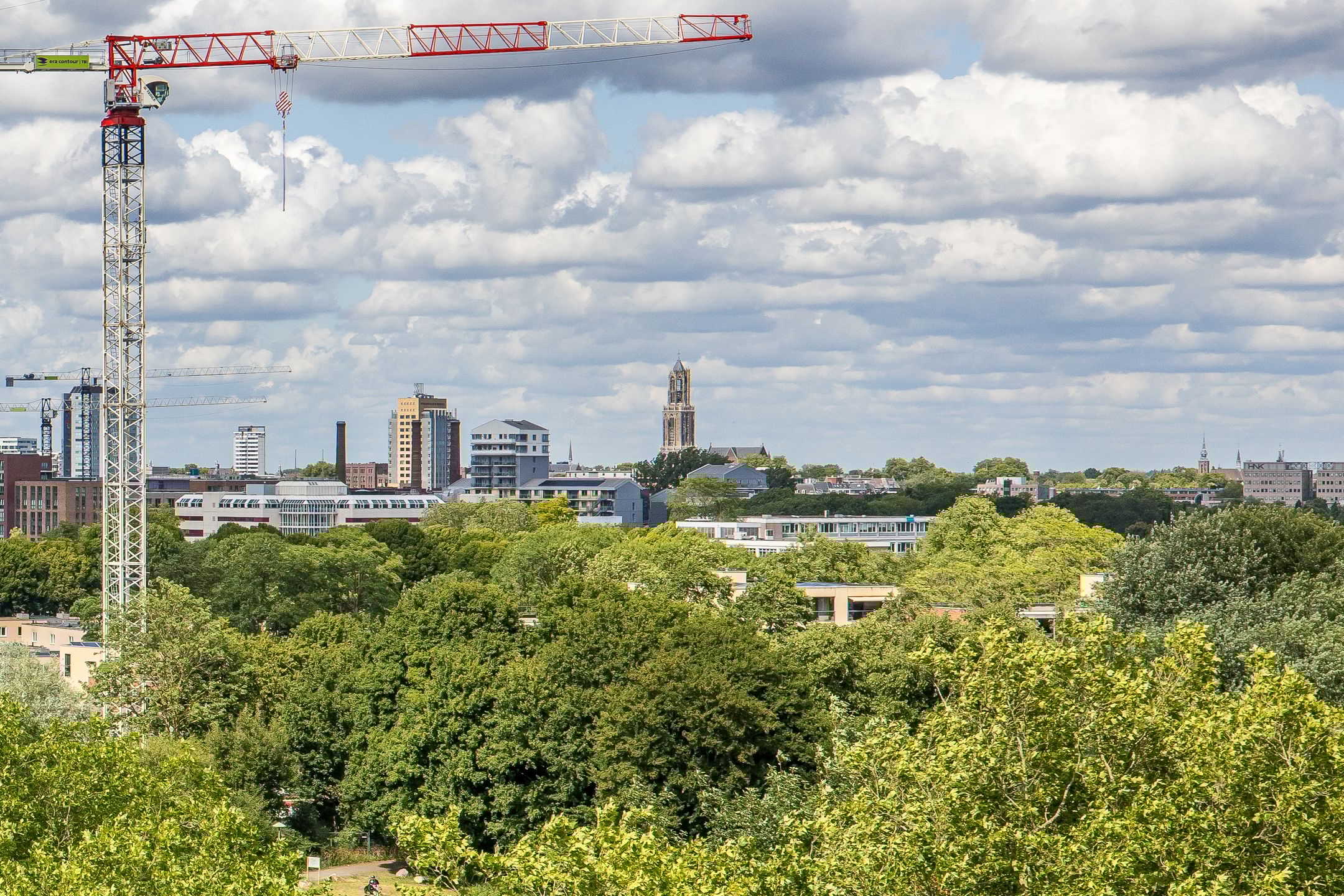 Foto 12 van Livingstonelaan 602