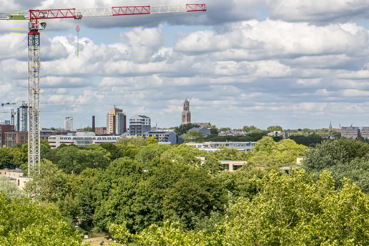 Foto 12 van Livingstonelaan 602