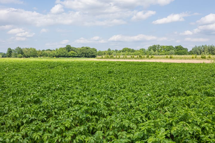 Photo 48 of Dennendreef 5-266