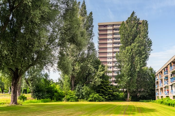 Foto 1 van Westelijk Halfrond 211-A