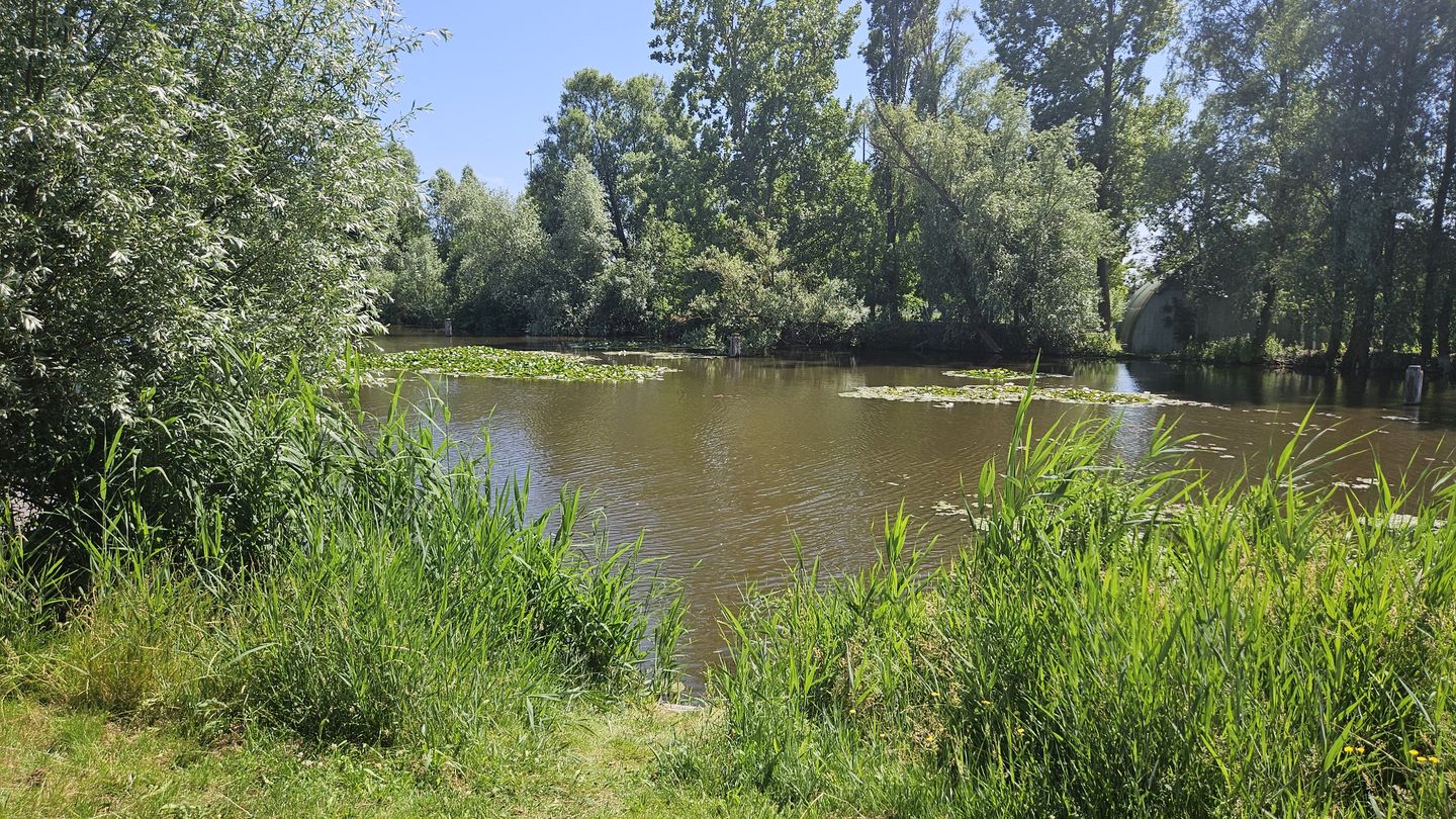 Photo 34 of De Groene Arend 64