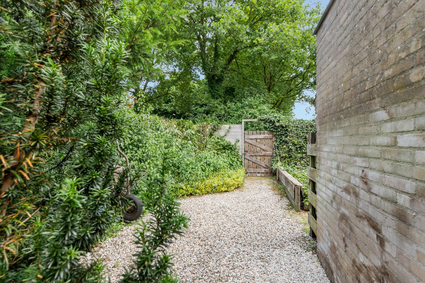 Foto 34 van Zwanebloem 7