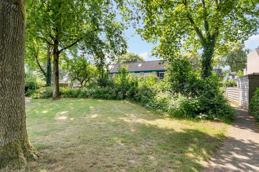 Foto 37 van Zwanebloem 7