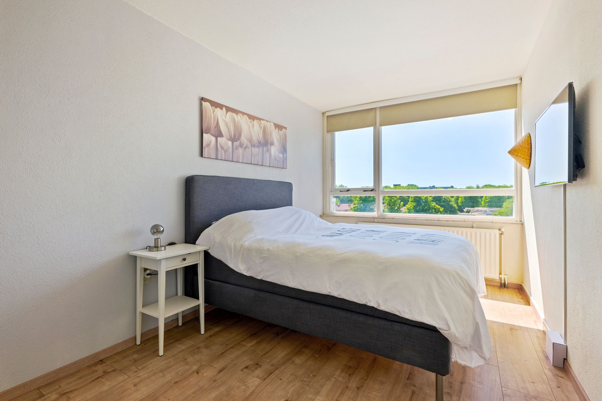 Foto 21 van Madridplantsoen 145