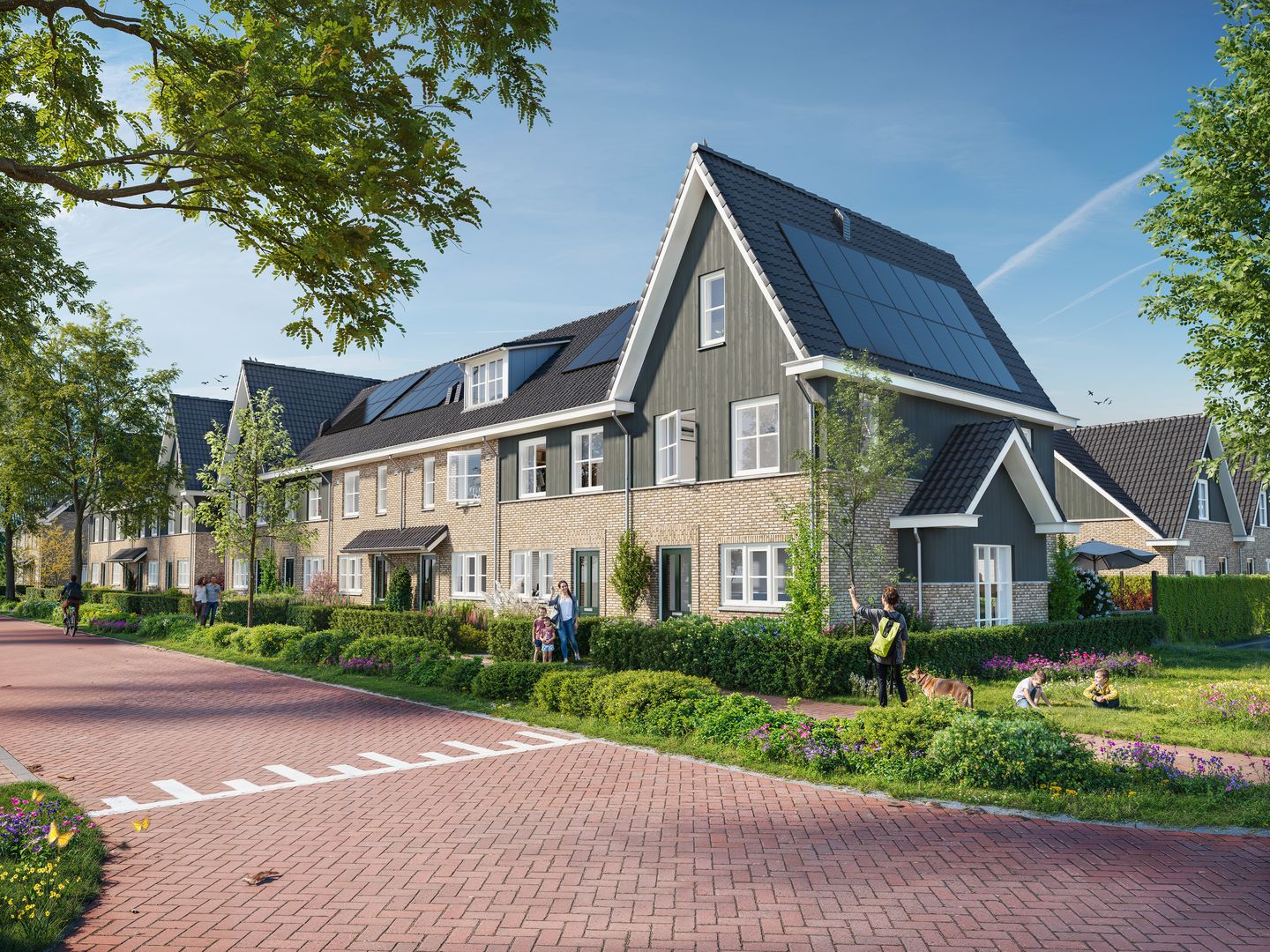 Photo 10 of Waterkroon