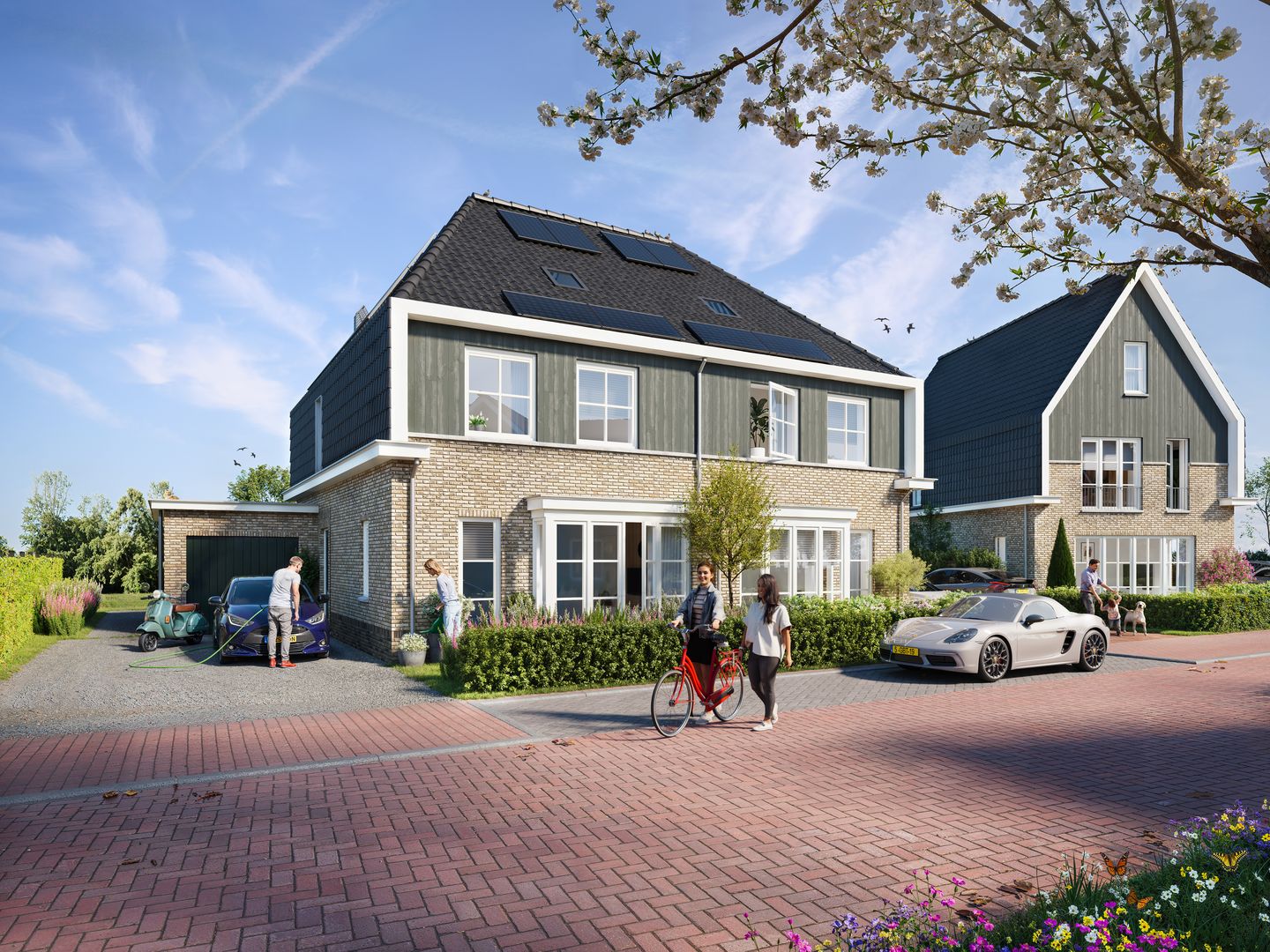 Photo 12 of Waterkroon