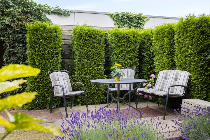 Foto 3 van Hans Lodeizenstraat 64