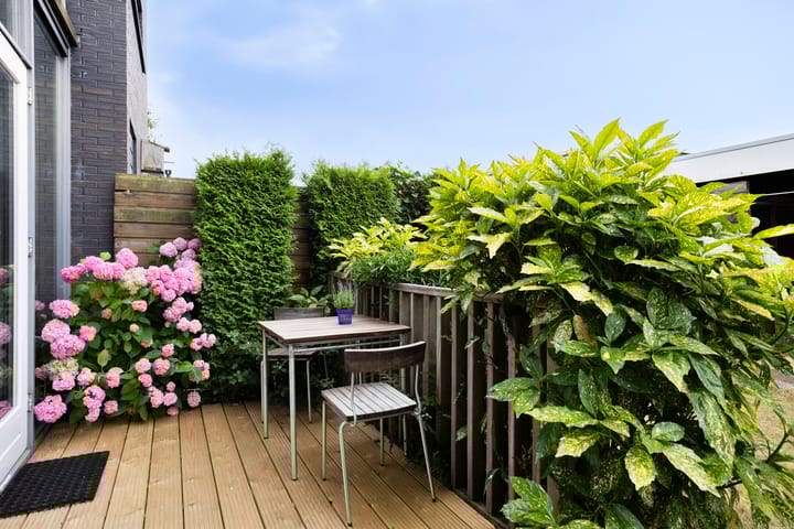 Foto 25 van Hans Lodeizenstraat 64