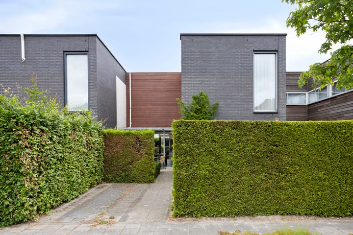 Foto 27 van Hans Lodeizenstraat 64