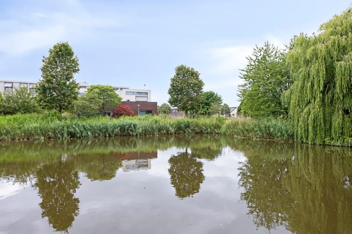 Foto 29 van Hans Lodeizenstraat 64