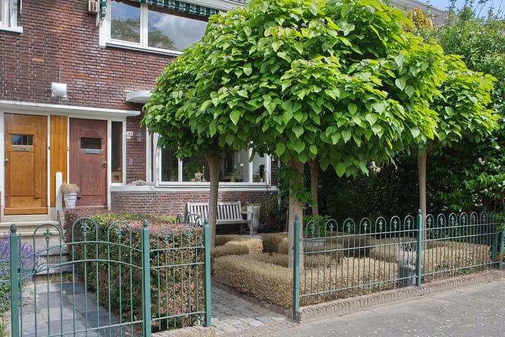 Foto 6 van Schiedamseweg 143