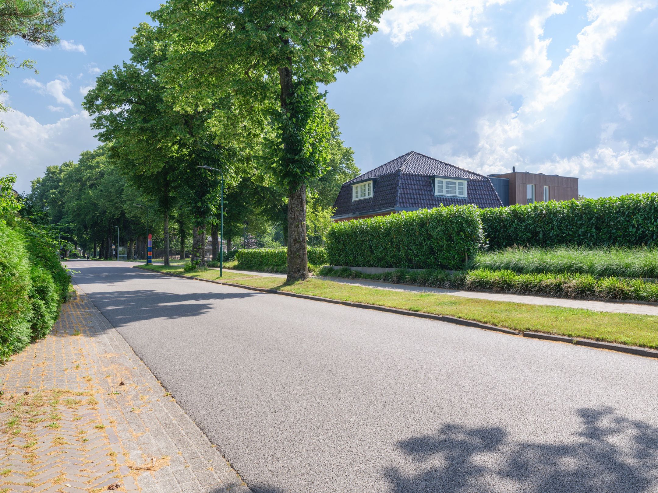 Photo 63 of De Dellen 42