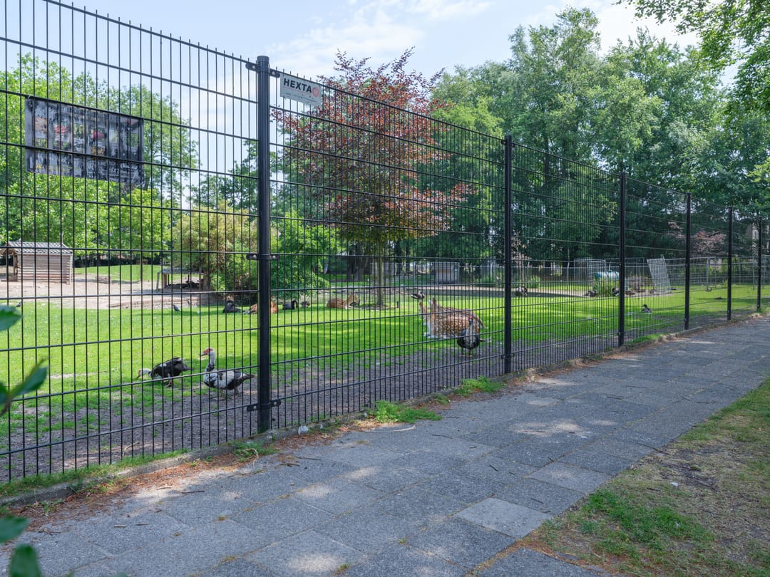 Photo 71 of De Dellen 42