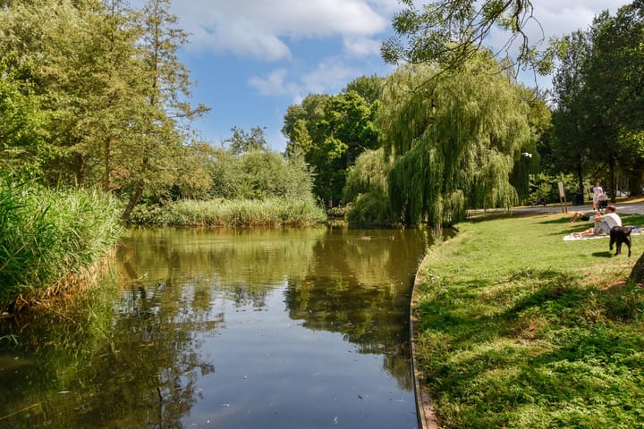 Photo 16 of Eerste Jan van der Heijdenstraat 124-2