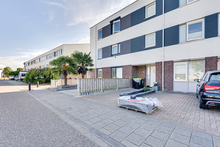 Foto 2 van Paalhoofd 2