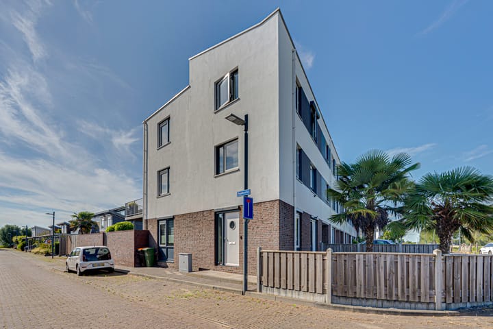 Foto 3 van Paalhoofd 2