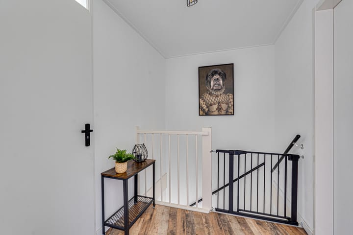 Foto 55 van Paalhoofd 2