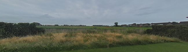 Achtertuin
