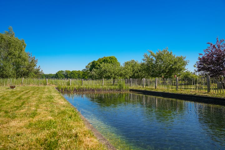 Photo 2 of Dortherweg 39