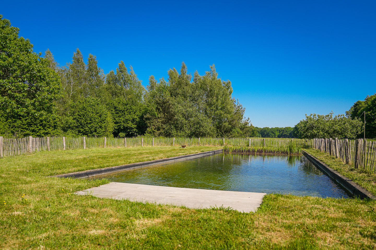 Photo 44 of Dortherweg 39