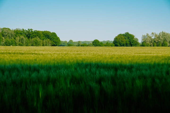 Photo 62 of Dortherweg 39