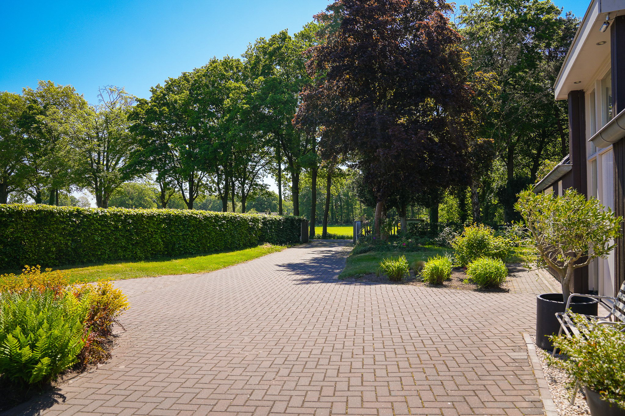 Photo 69 of Dortherweg 39
