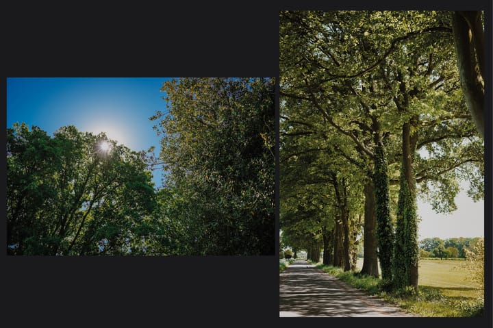 Photo 67 of Dortherweg 39