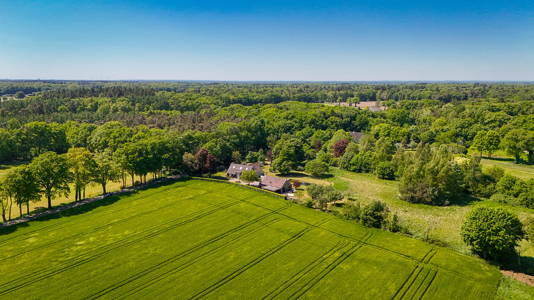 Photo 71 of Dortherweg 39