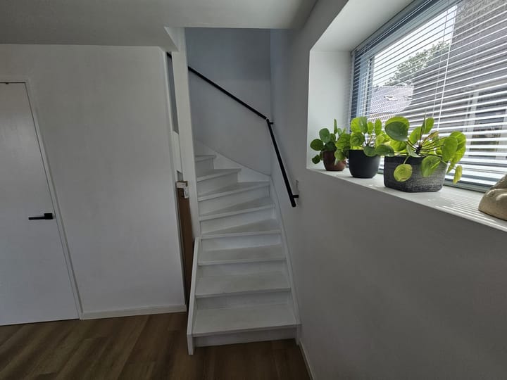 Foto 16 van Nieuwe Plantage 113