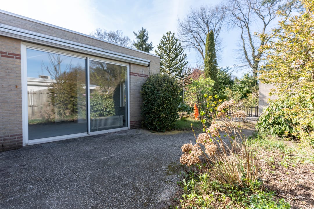 Photo 13 of Hermes 6