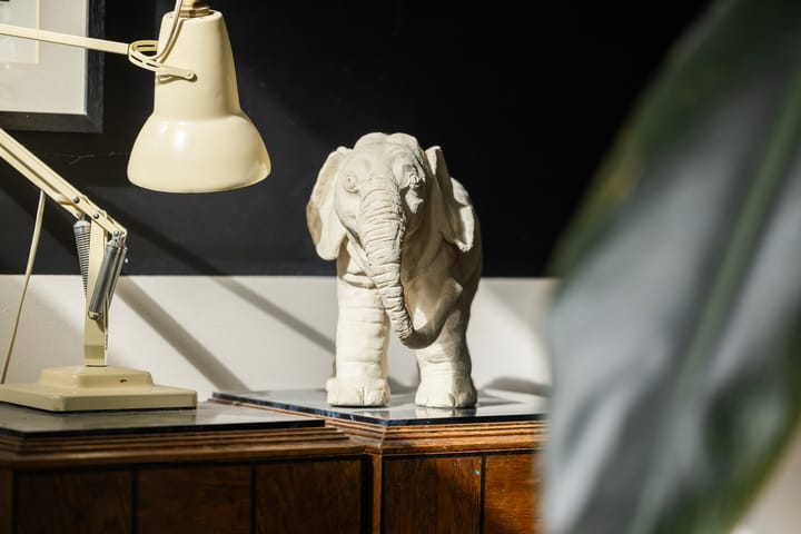 Foto 21 van Kromhout 27