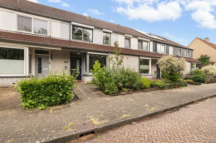 Foto 35 van Drususlaan 15