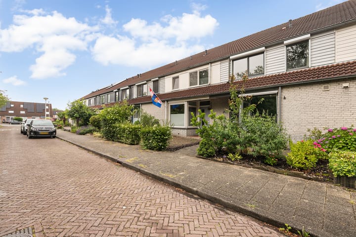 Foto 36 van Drususlaan 15