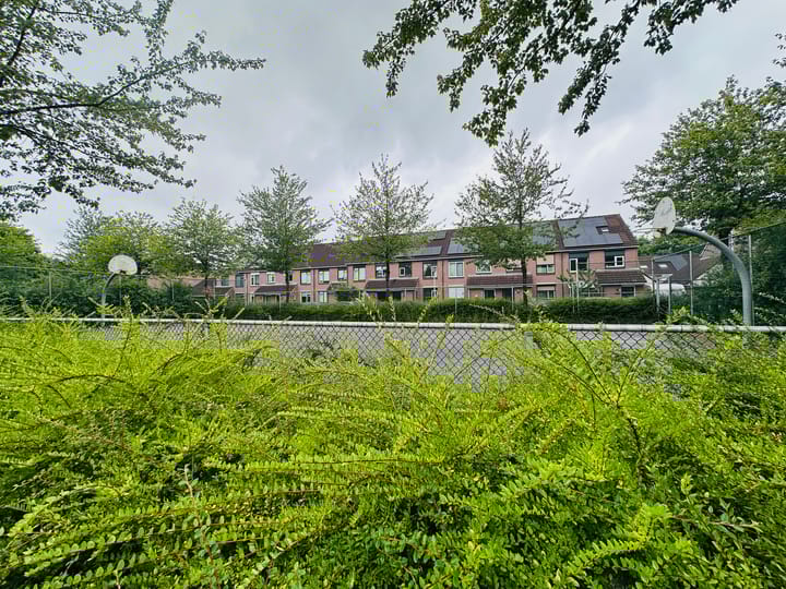 Foto 41 van Drususlaan 15