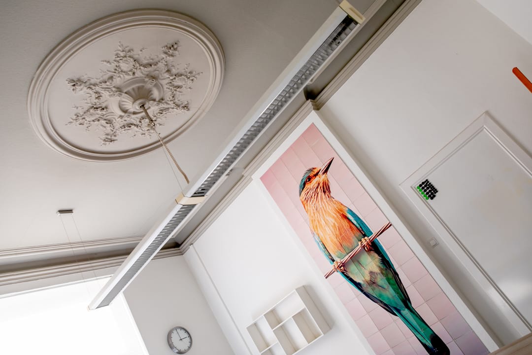 Foto 2 van Willem II Singel 41