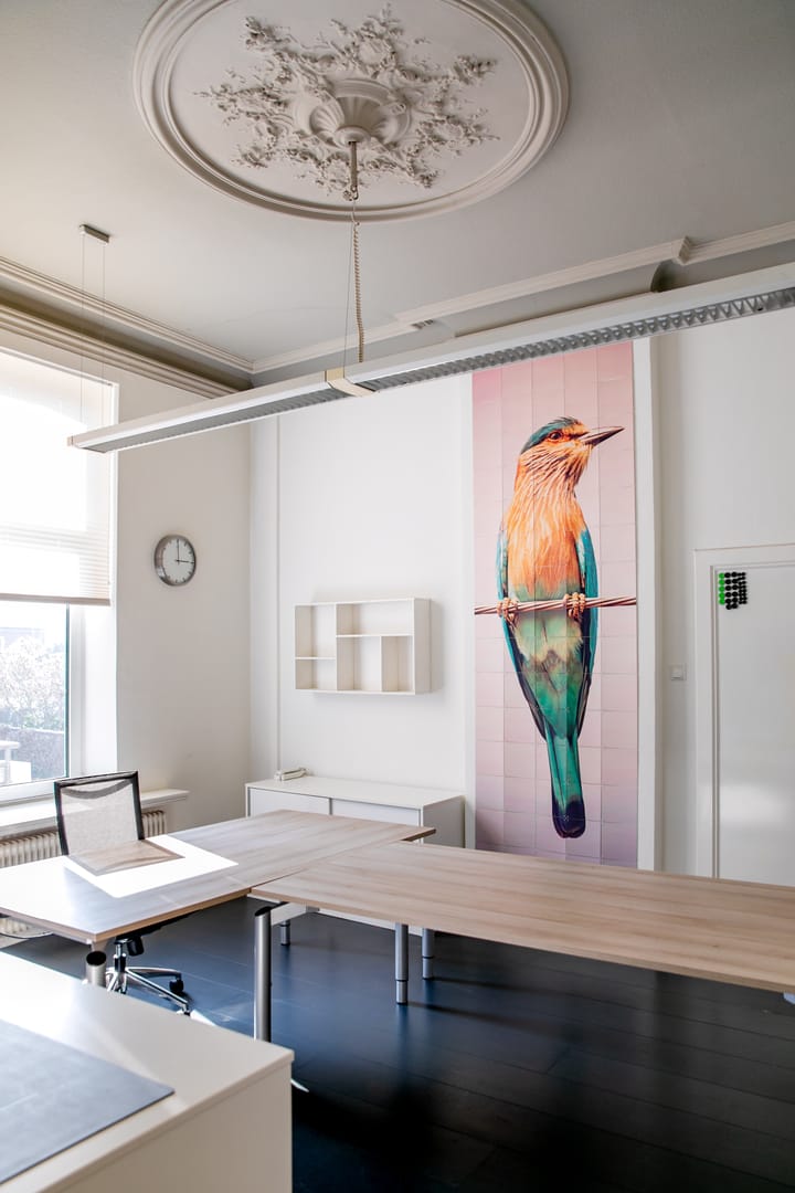 Foto 15 van Willem II Singel 41