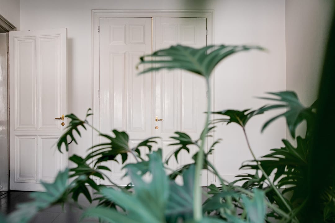 Foto 17 van Willem II Singel 41