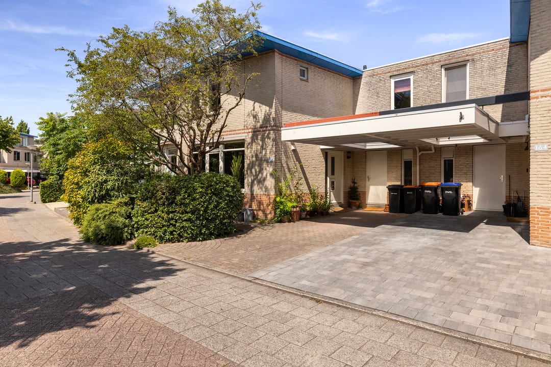 Foto 1 van Palissander 165