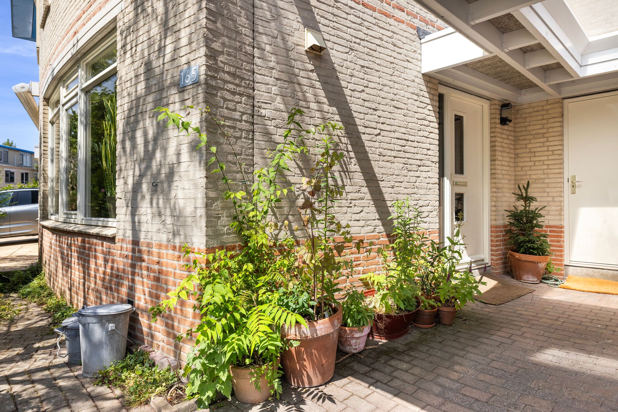 Foto 6 van Palissander 165