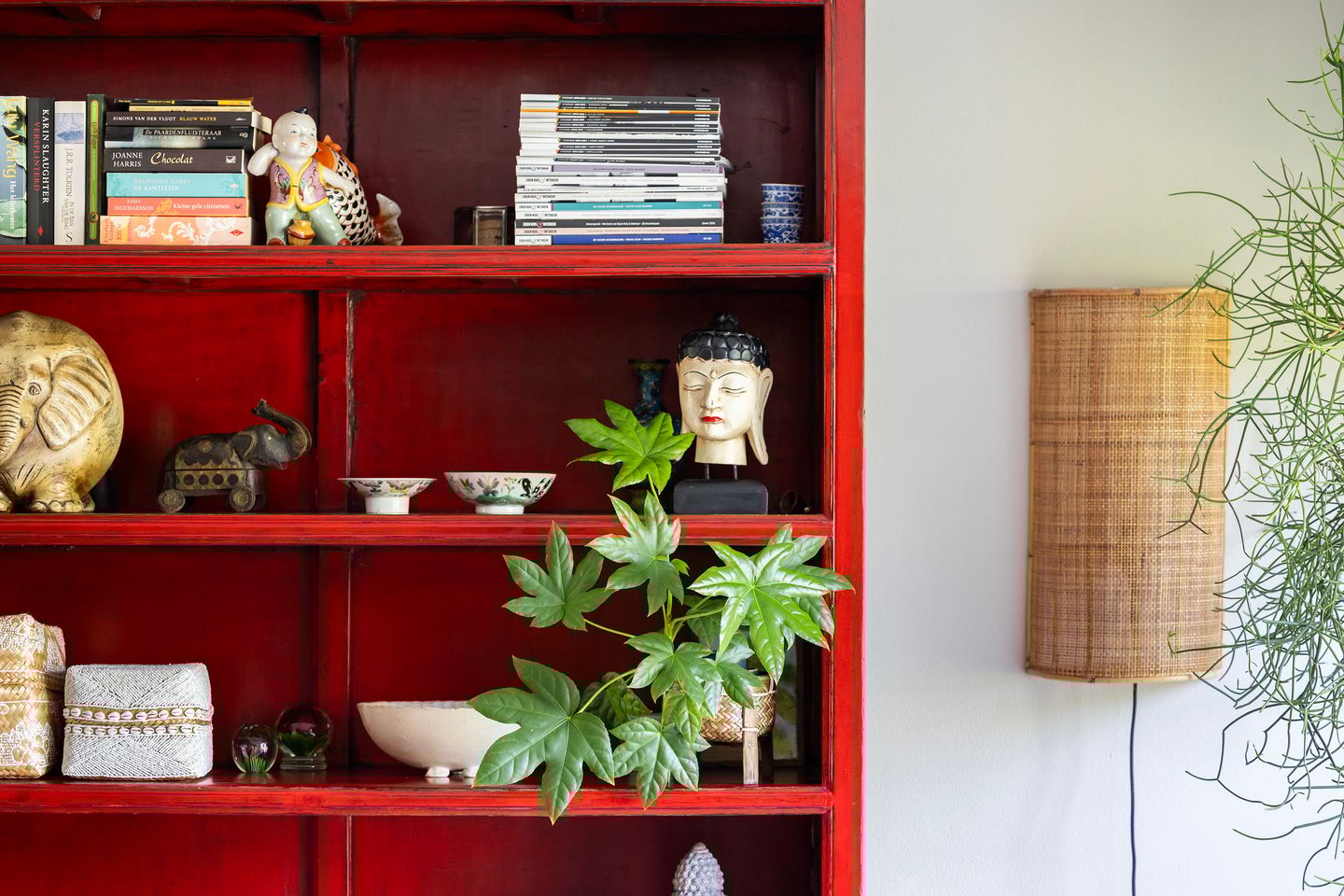 Foto 10 van Palissander 165