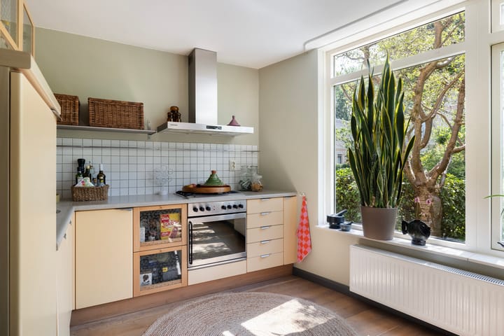 Foto 13 van Palissander 165