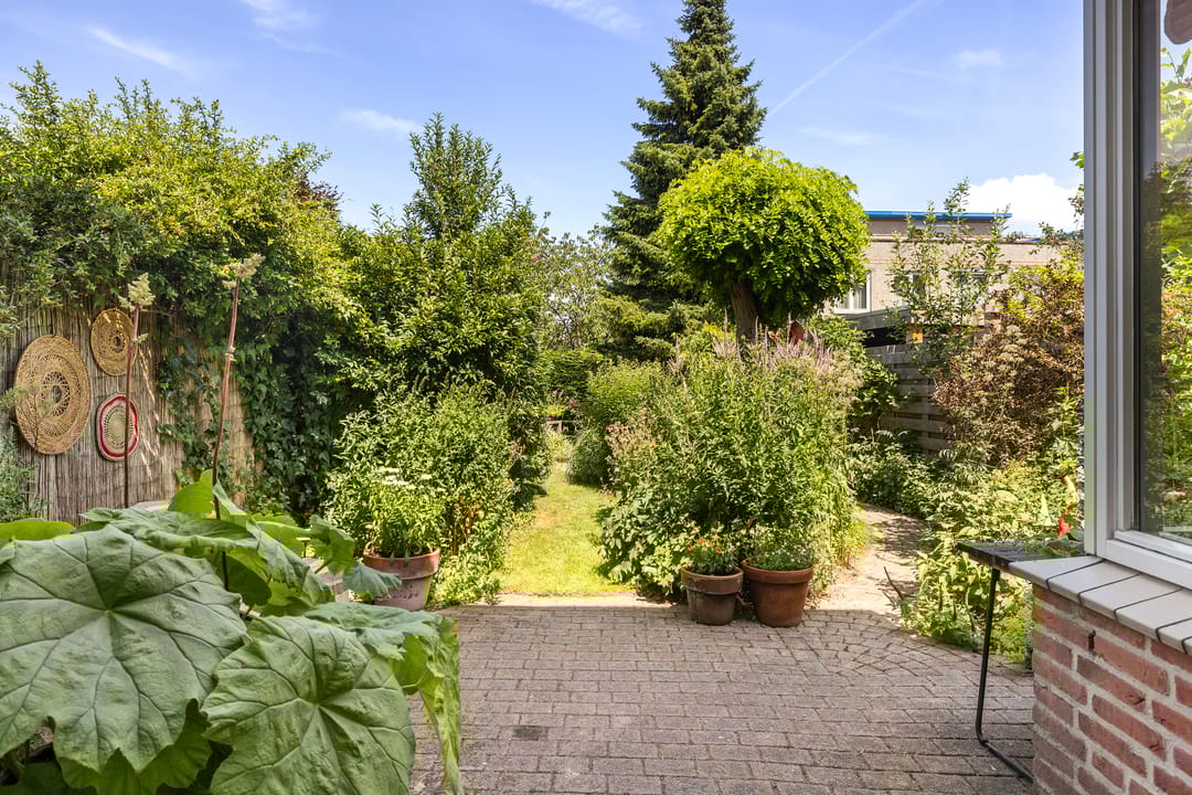 Foto 16 van Palissander 165